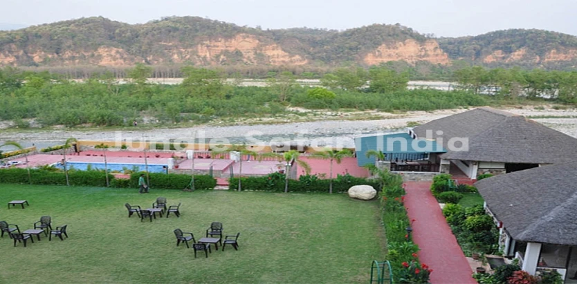 Jungle Treasure Resort